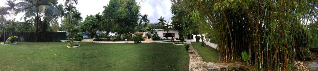 San San Tropez Port Antonio Exterior foto